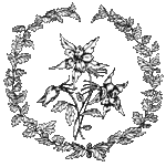 Columbine Logo